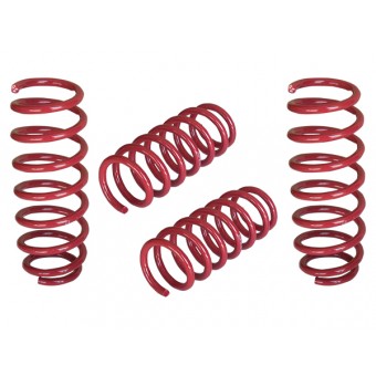 Helezon Yayı F10 Set: 4ad Mavi -Sport-