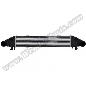 Turbo İnterkol Radyatörü W204 W212 [M271-CGI]
