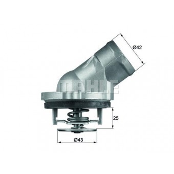 Termostat M112 M113 [W203 W210 W211 W220 W163] 87C