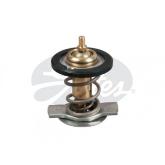 Termostat OM642 [W212 W221 W222 W164 W251] 92C