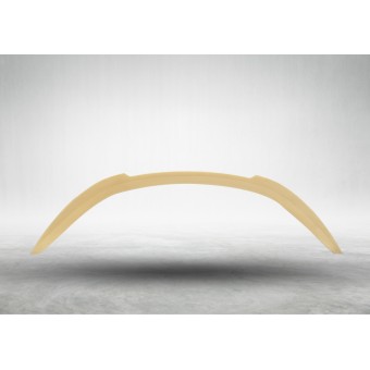 Bagaj Spoyleri Z4:G29 -///M-Performance-