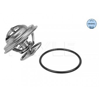 Termostat OM541 [ACTROS/ATEGO] 65C