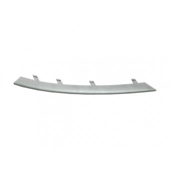 Tampon Izgara Çitası F07 Ön Sol; Mat-Alüminyum