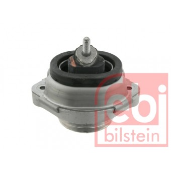 Motor Kulağı X5:E53 [M54]