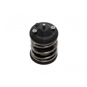 Termostat N47 N57 [E60 E87 E90 X3:E83 X5:E70 X6:E71 F10 F01] 87C