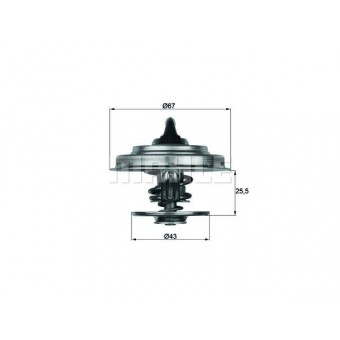 Termostat OM615 [T2:405D/407D] 79C