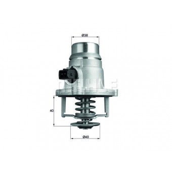 Termostat N62 [E60 E65 X5:E53 X5:E70 X6:E71] 105C
