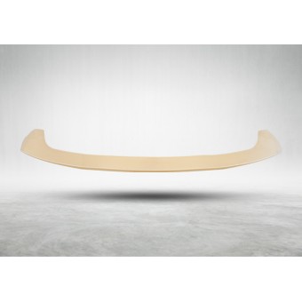 Tavan Spoyleri X4:G02