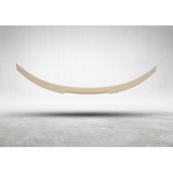 Bagaj Spoyleri F13 -///M4-