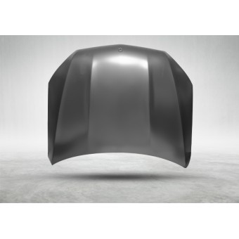 Kaput X167-GLS Alüminyum 2019-